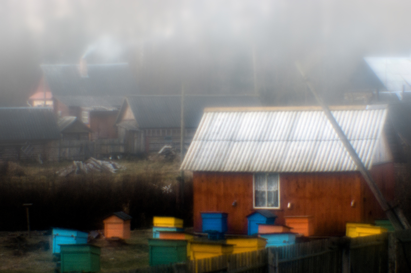 Пасека (Монокль).