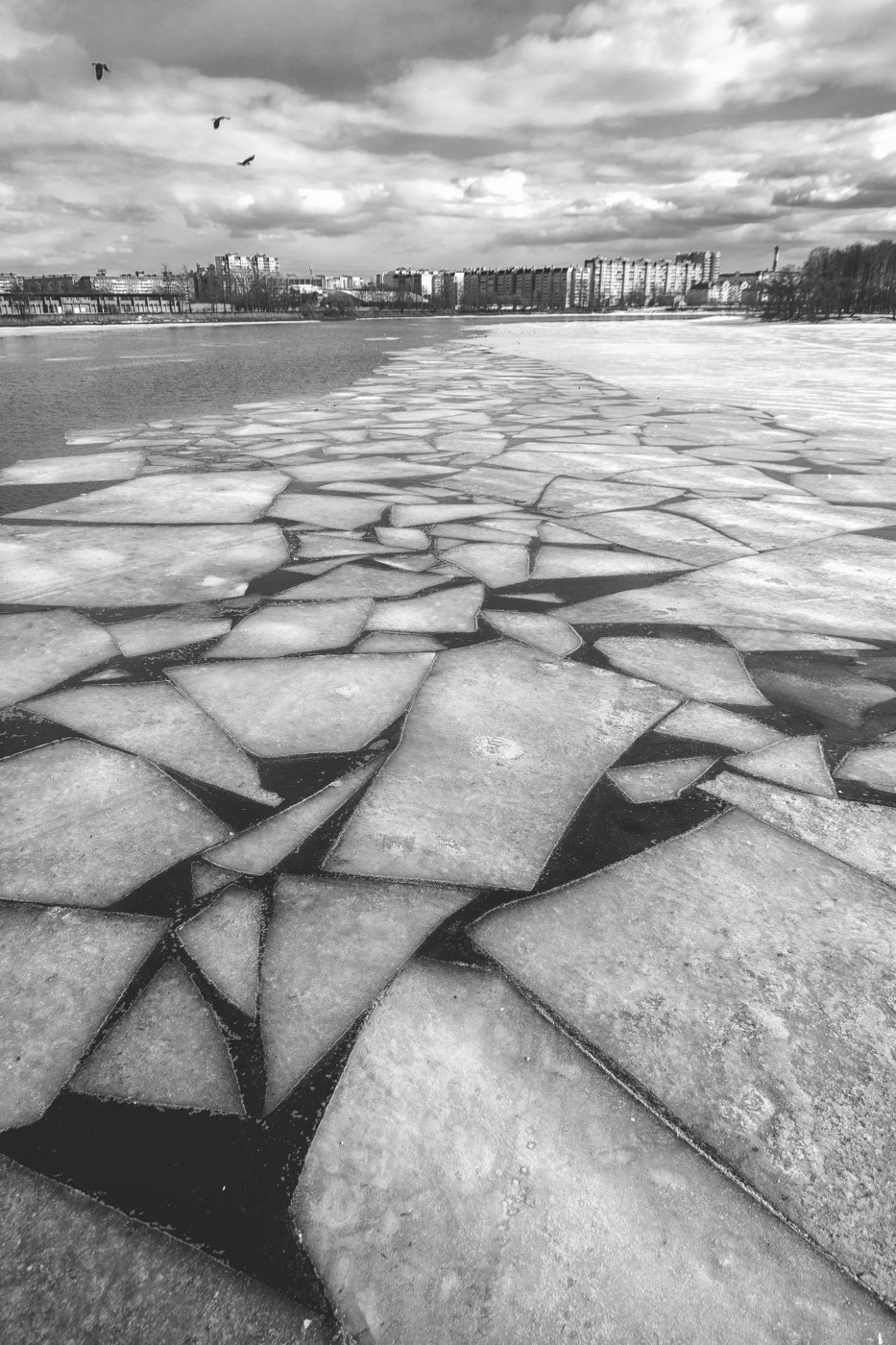 Жизнь вокруг