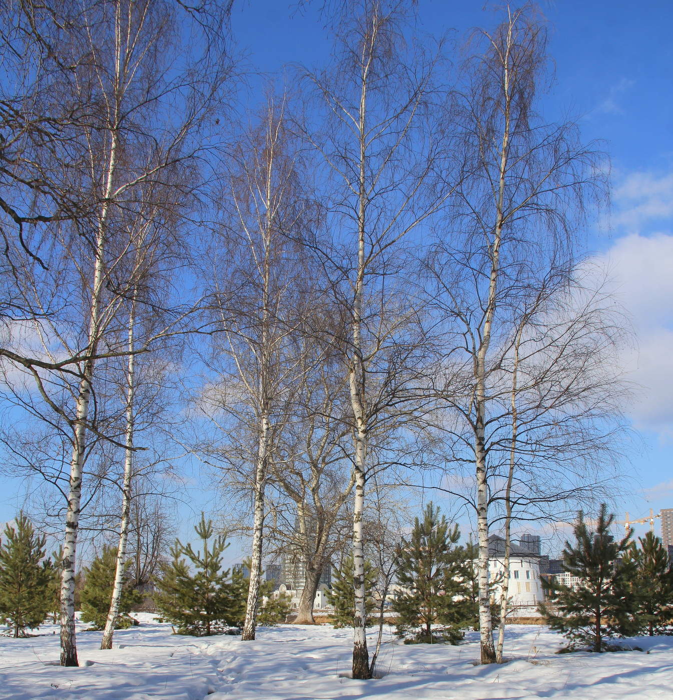 Весенний пейзаж!