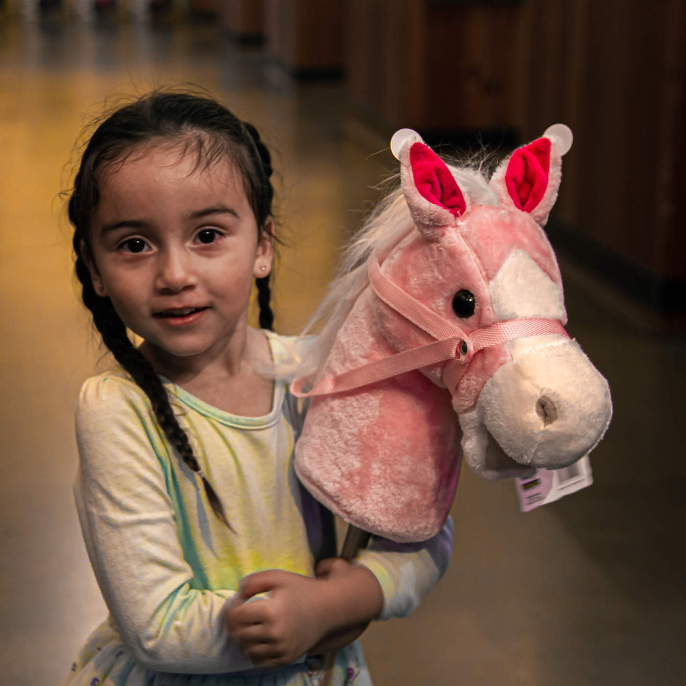 Девочка с лошадкой