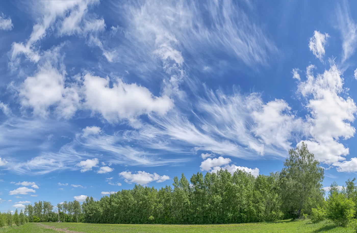 перед циклоном