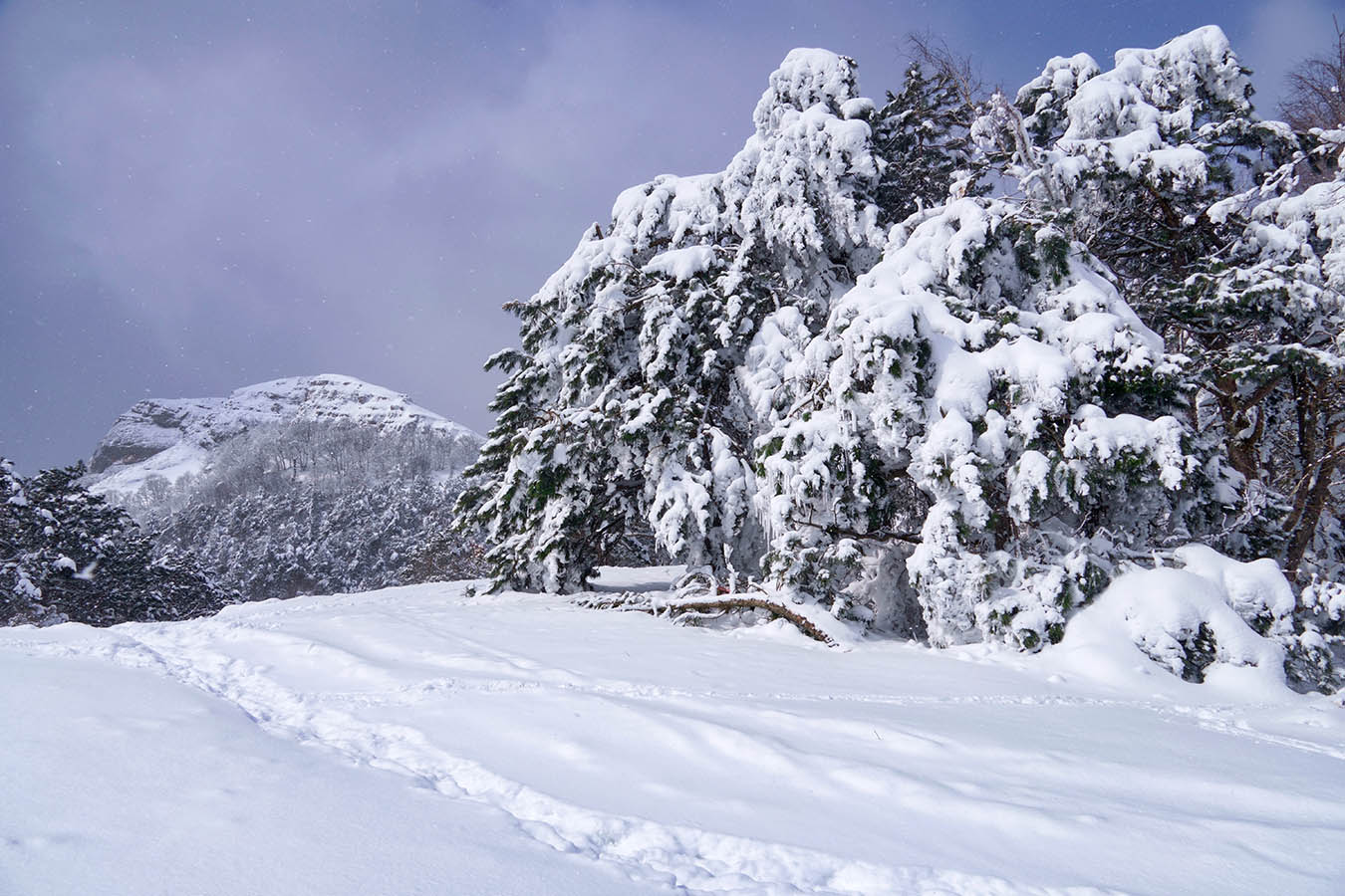 Март на перевале Фуна