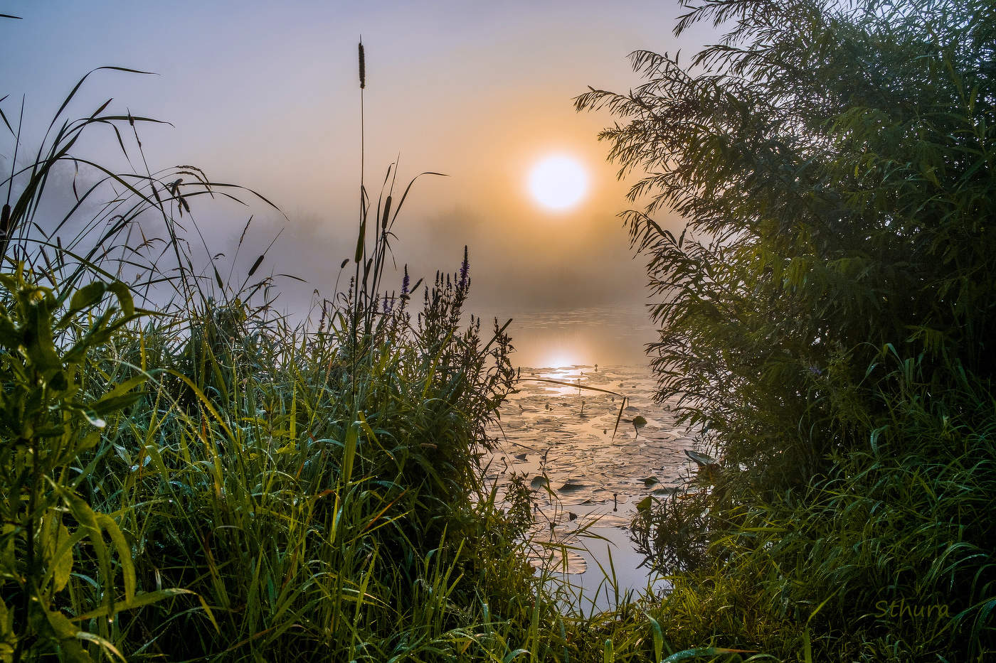 Летний рассвет.