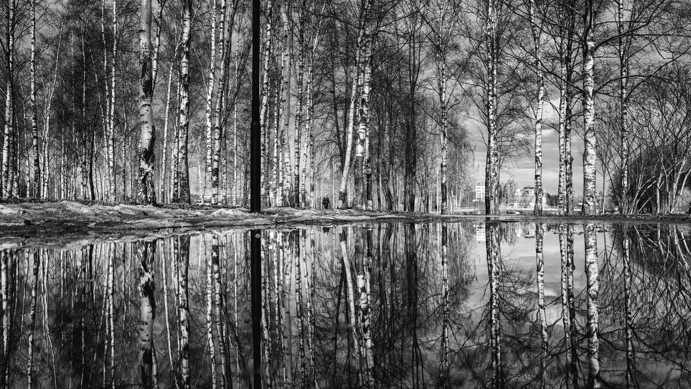 Жизнь вокруг