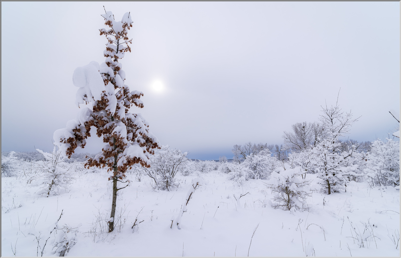 Одиночество ...