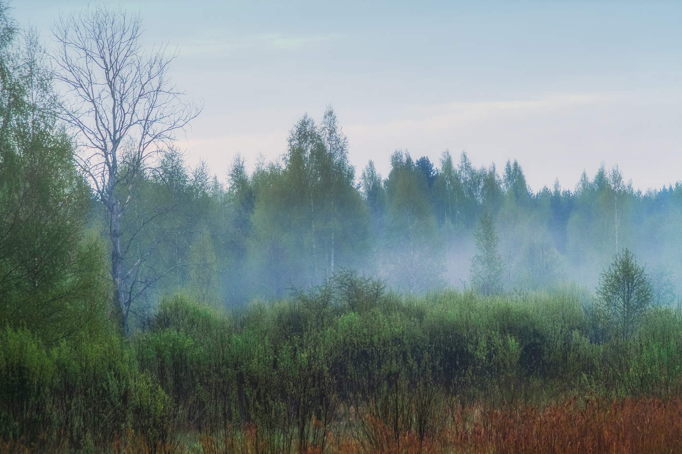 У туманного утра в гостях
