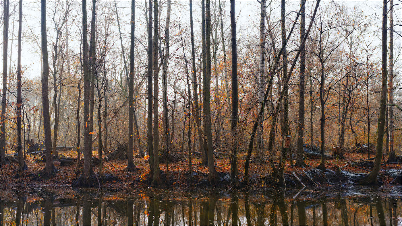 Ноябрьское затишье.