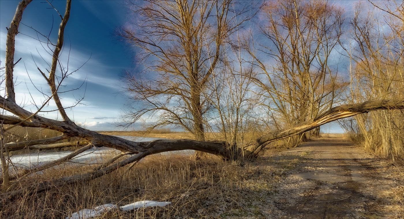 Зима оставила следы...