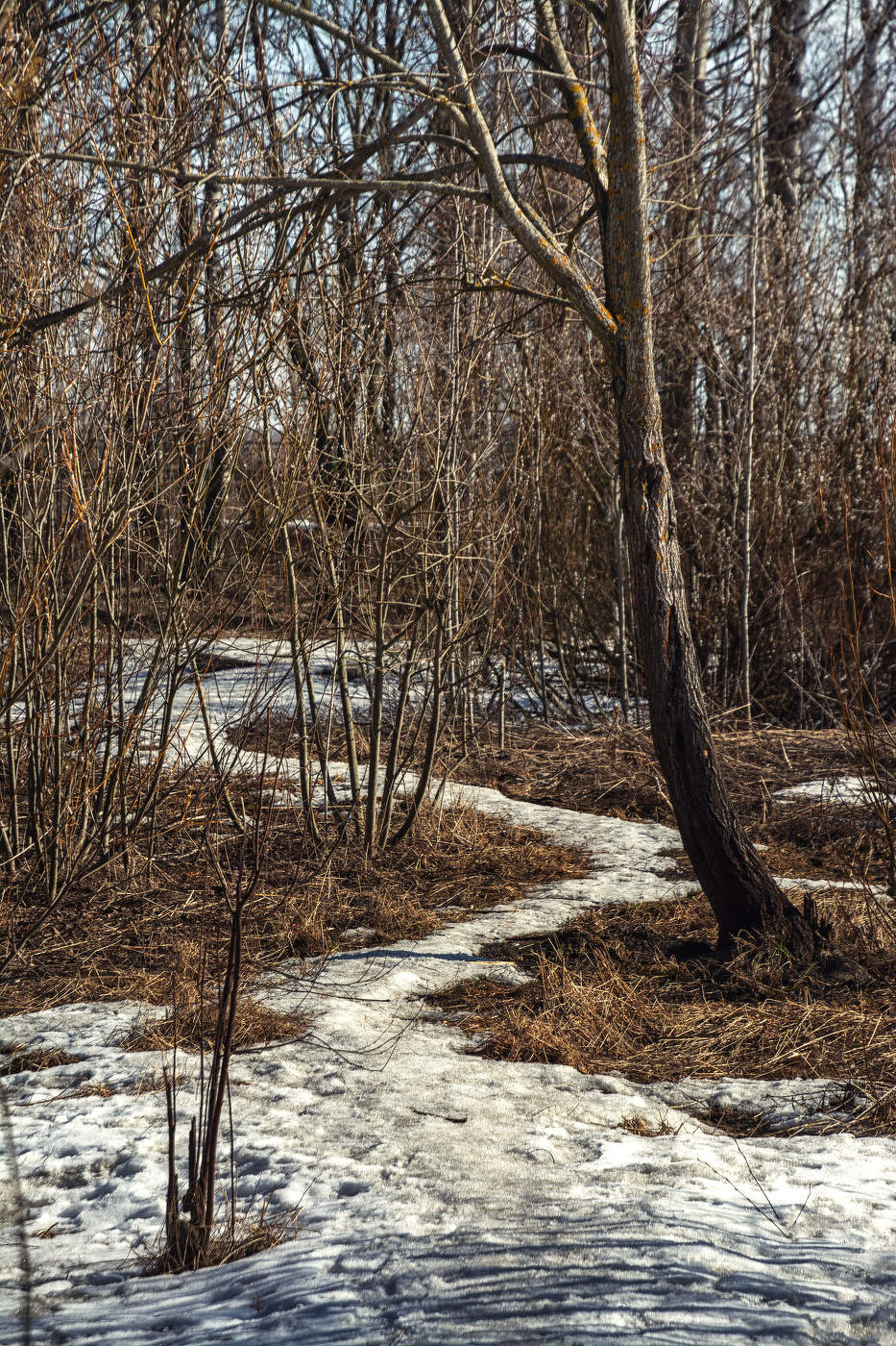 Жизнь вокруг