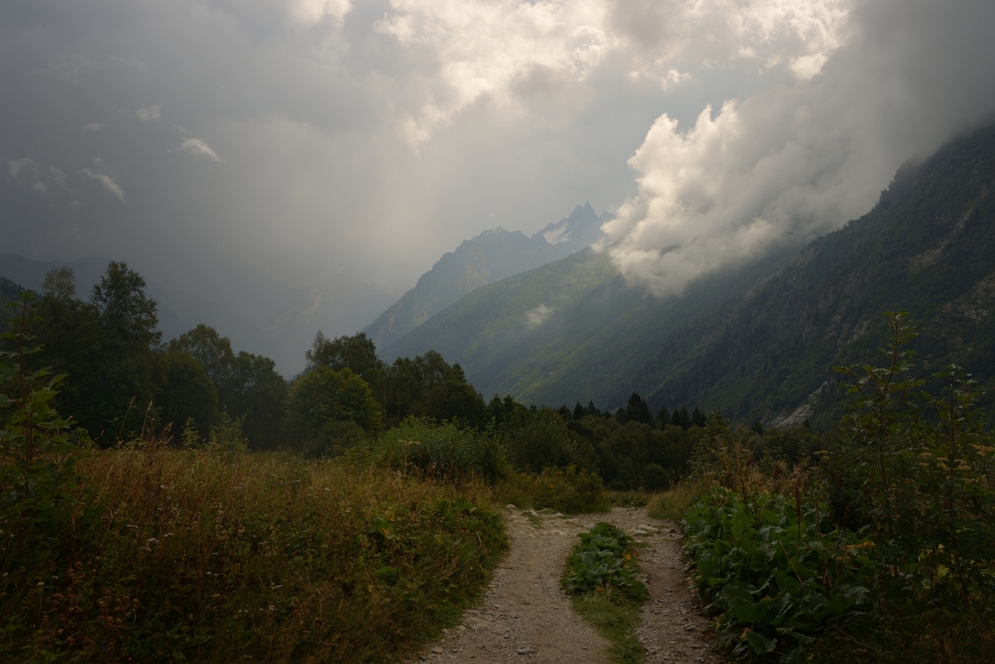 Перед дождем