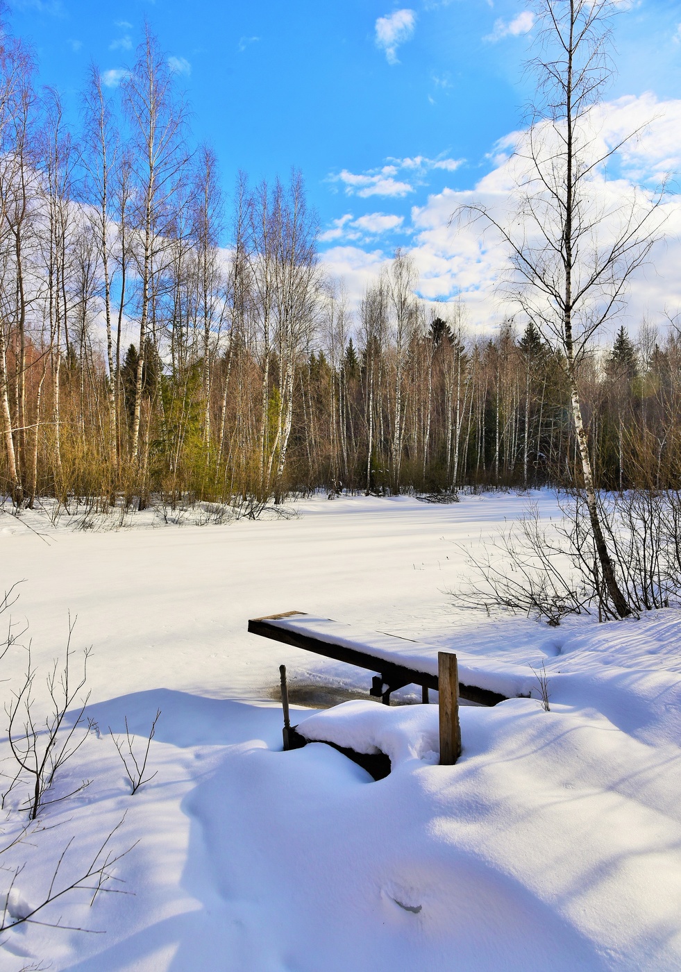У лесного озера ...