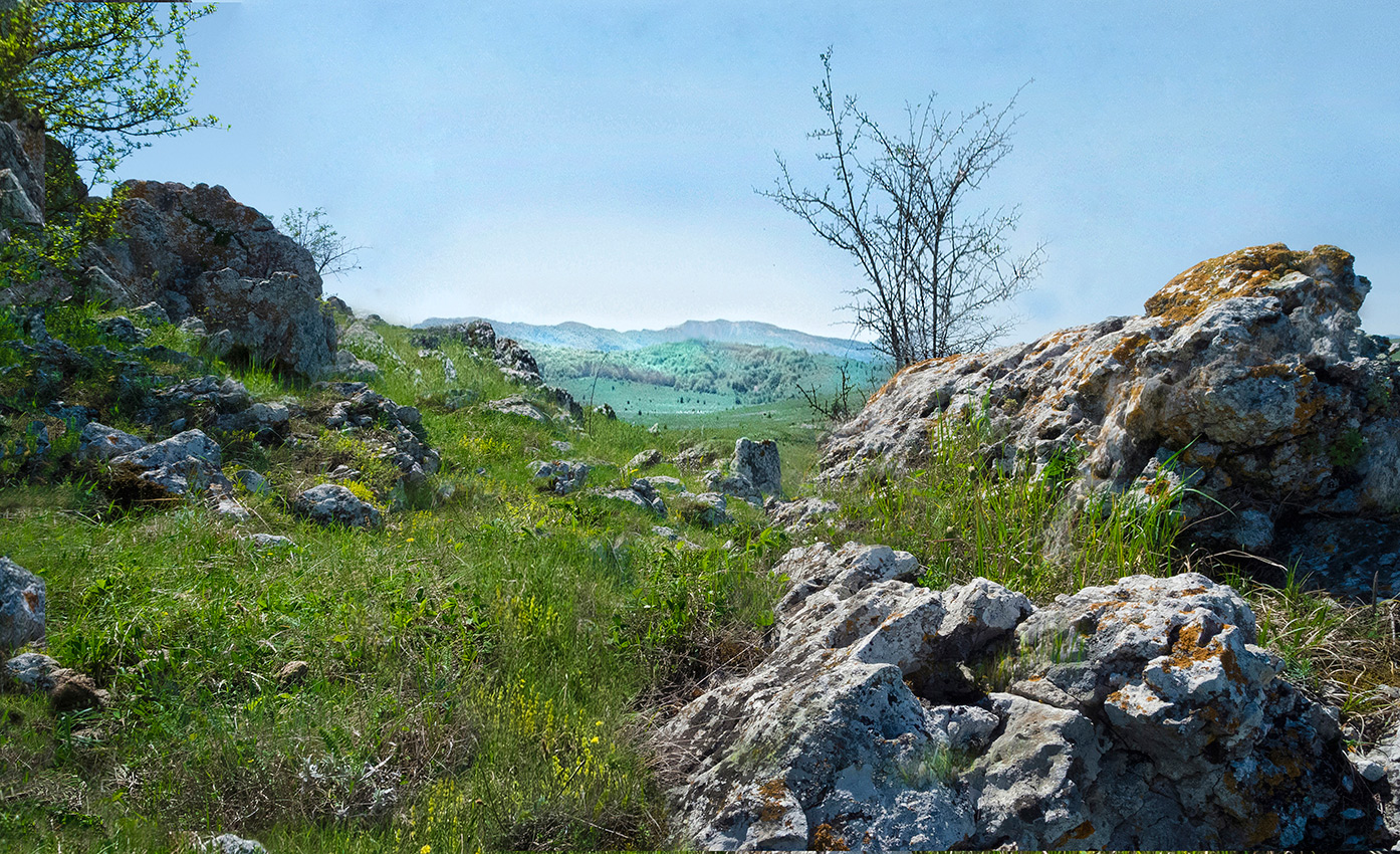 Травка зеленеет...