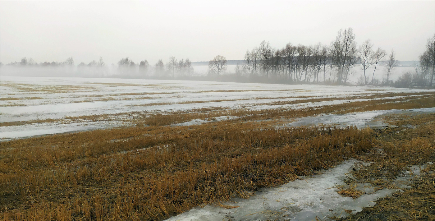 Весна. День пасмурный