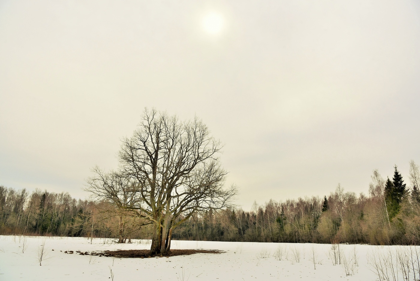 Хмурый апрельский день ...