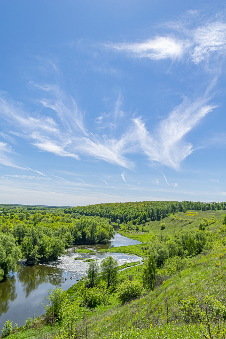 небесные птицы