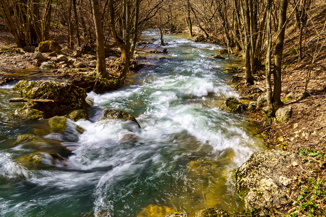 Вешние воды