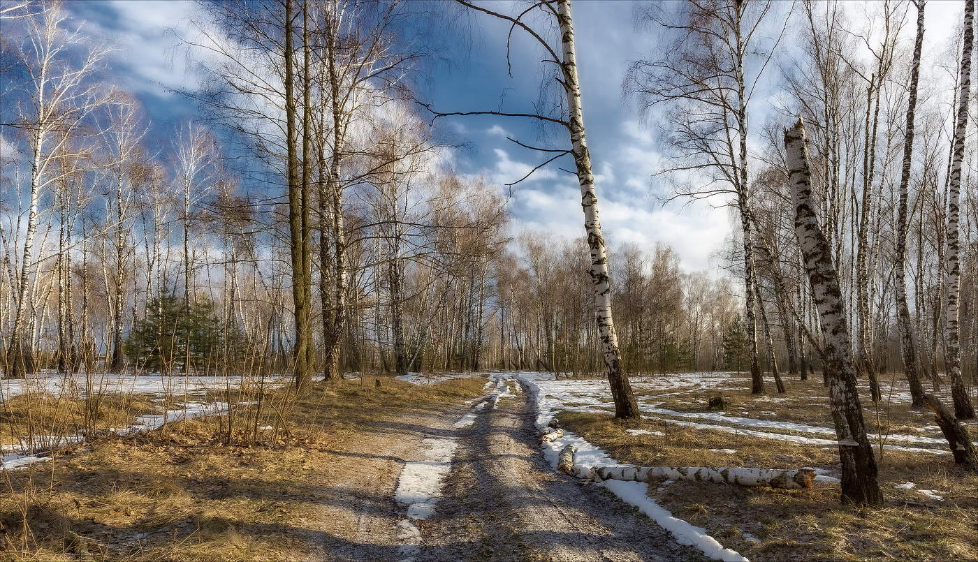 Набиралась сил Весна...