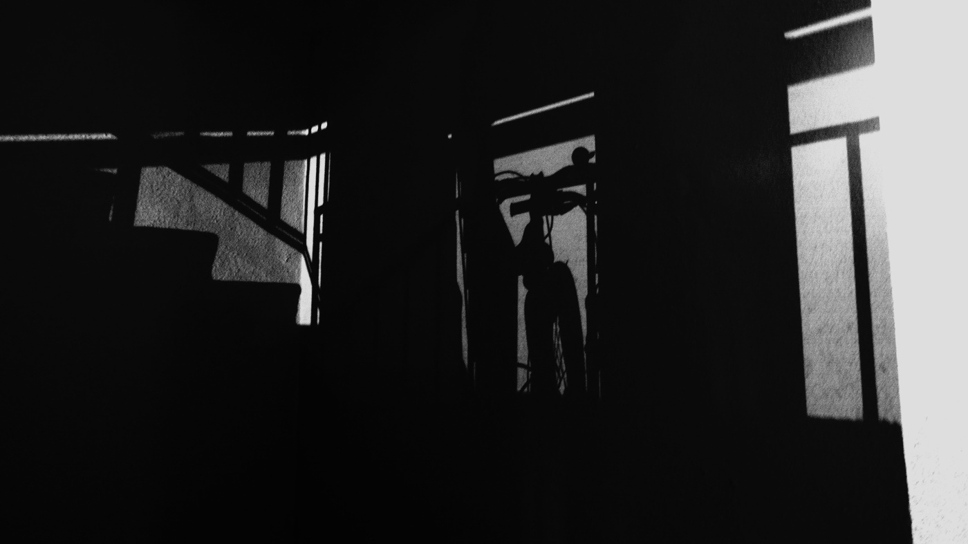 Жизнь вокруг