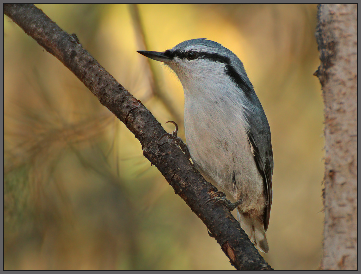 Осенним утром