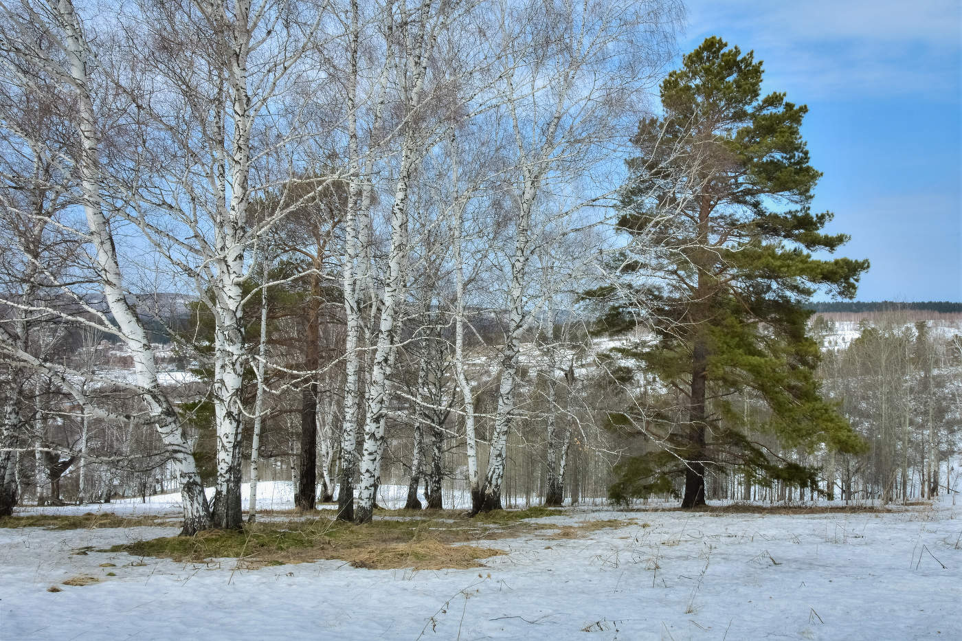 Апрель. Нижние Кинерки
