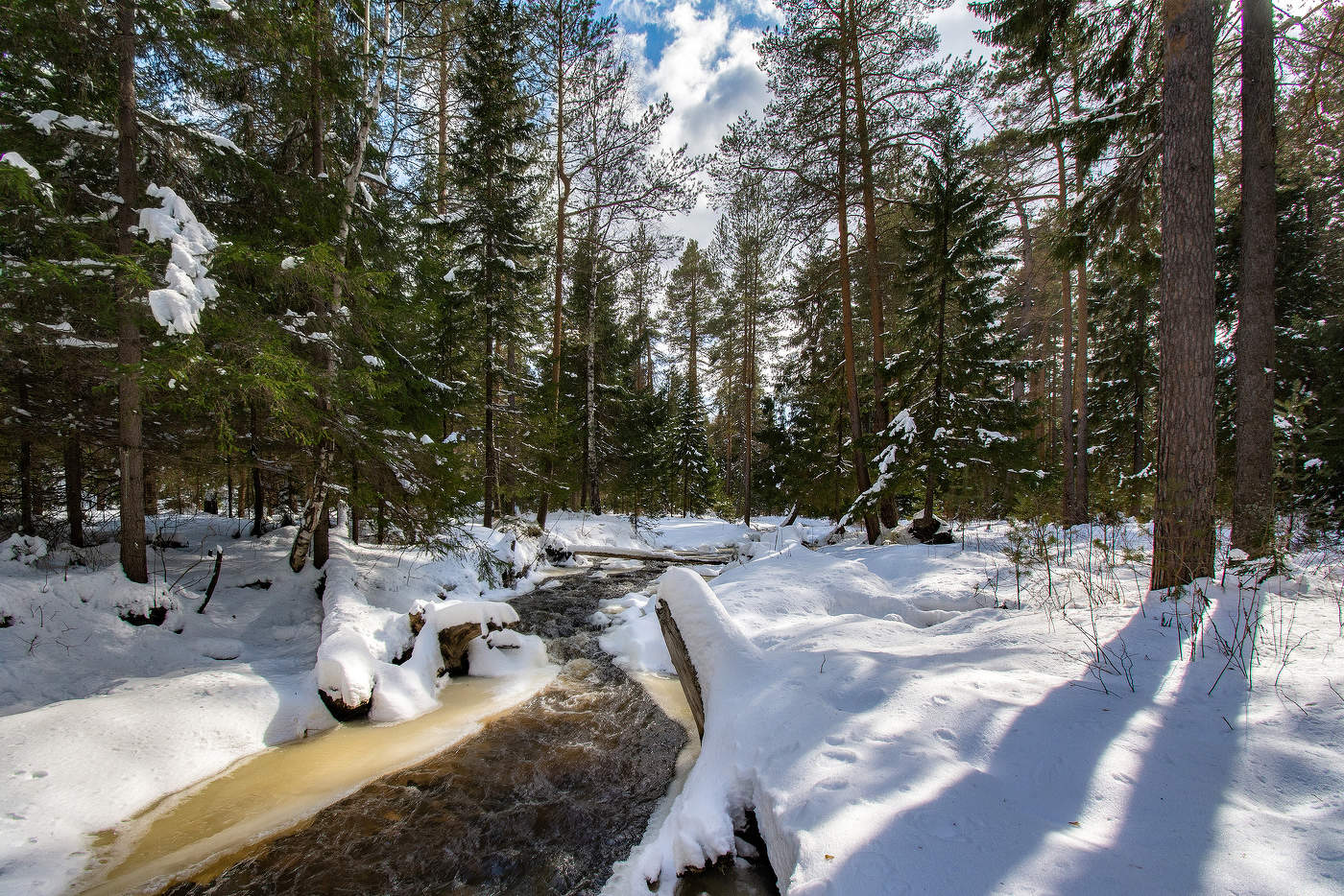 Вешние воды
