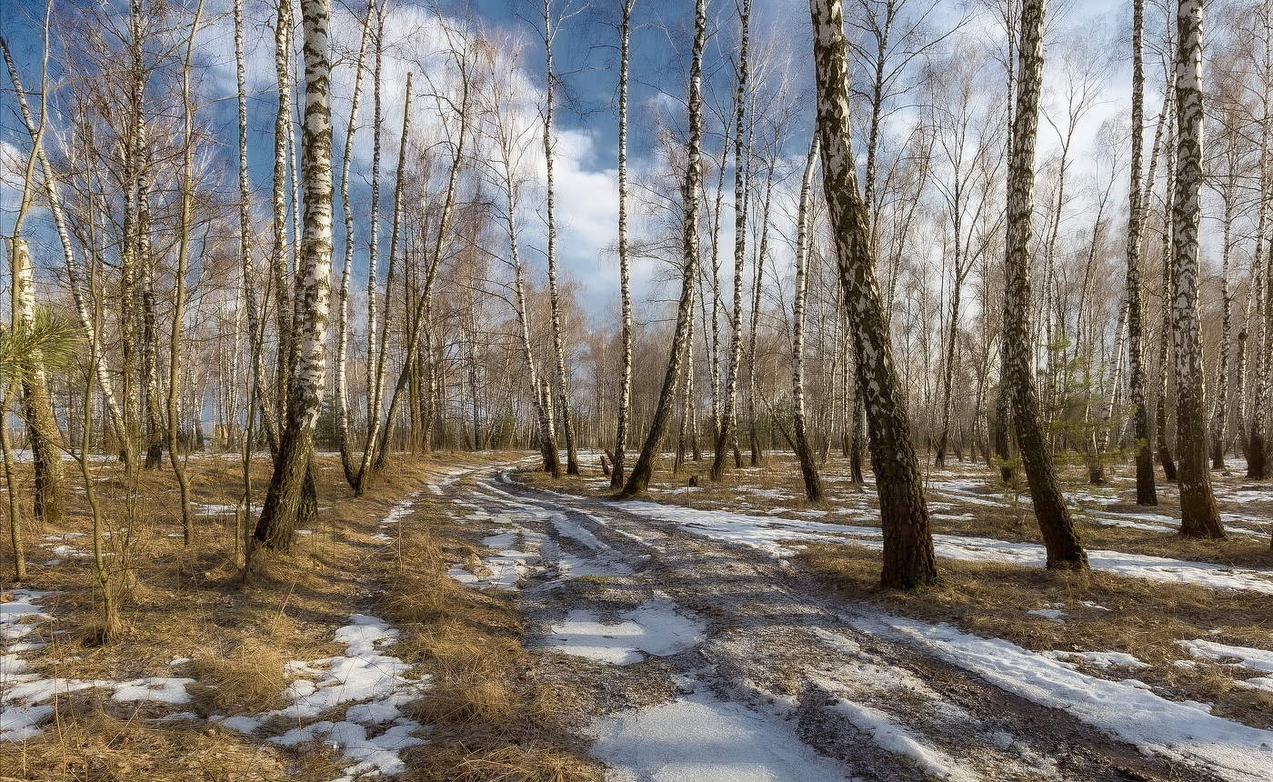 То мороз, то лужи голубые...