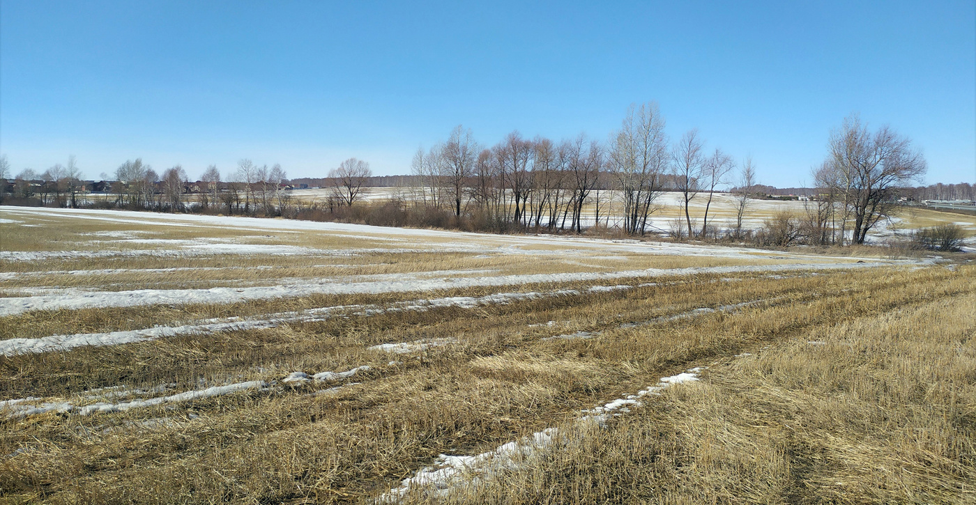 Весна. День солнечный