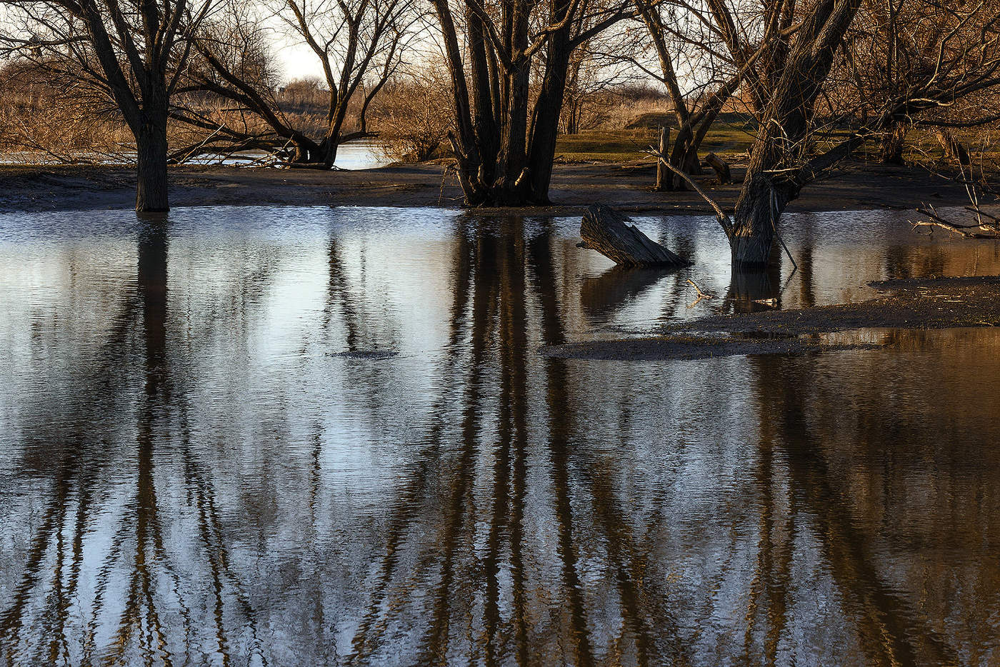 На Свияге...