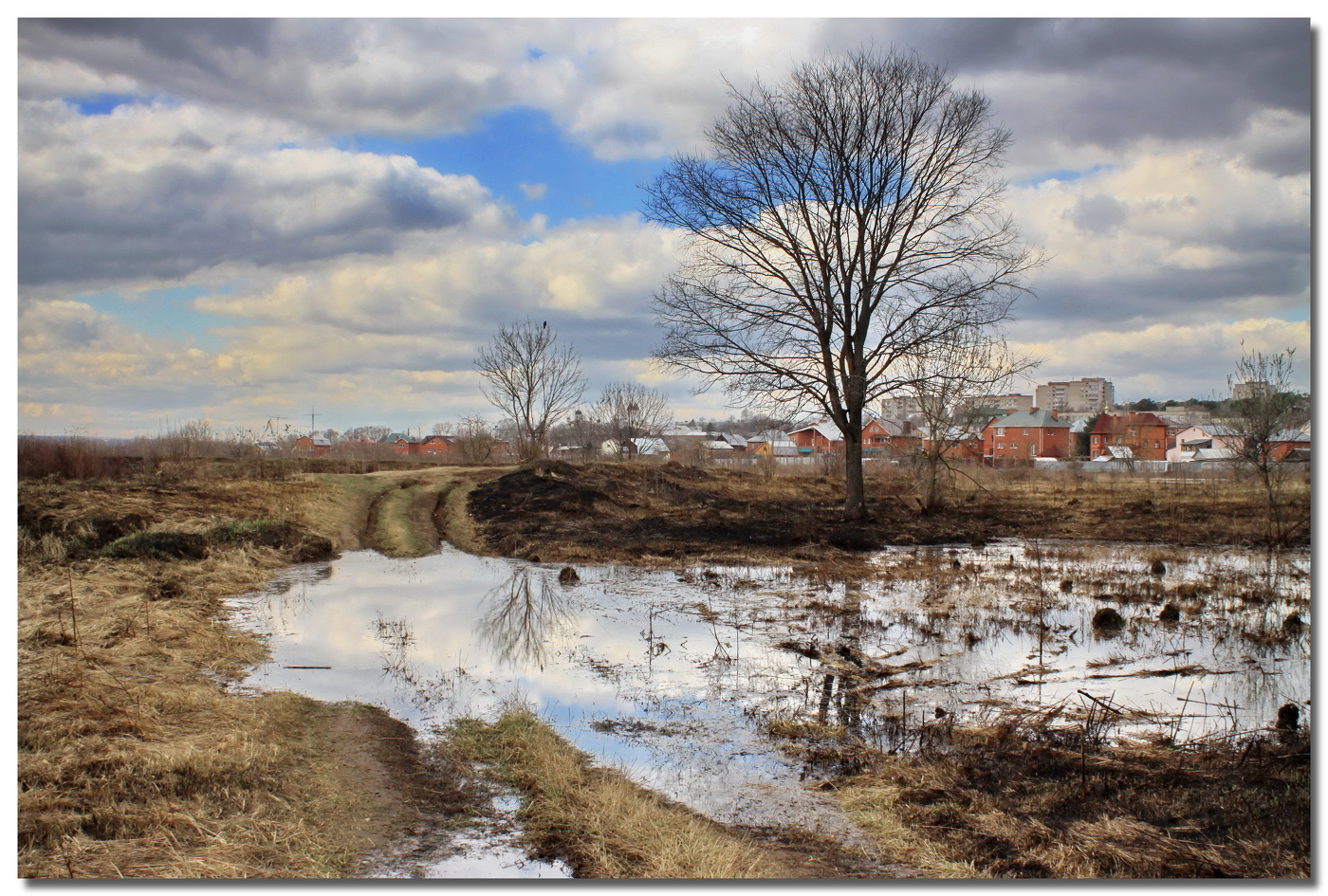 Весенний день