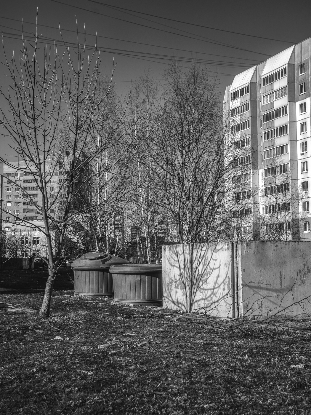 Жизнь вокруг