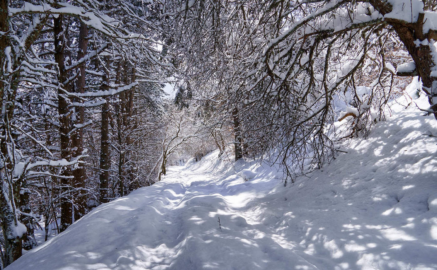 Горная дорога