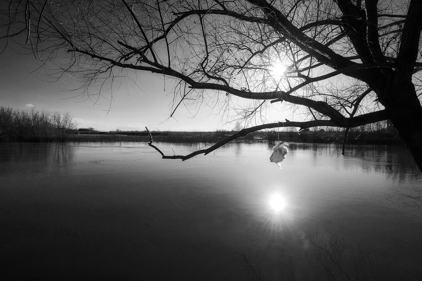 Без названия...