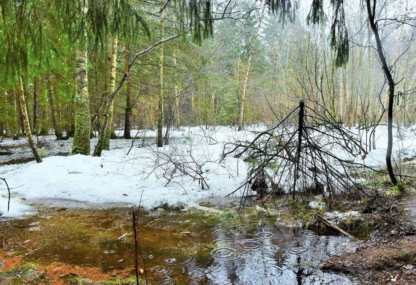 Капризный апрель ...