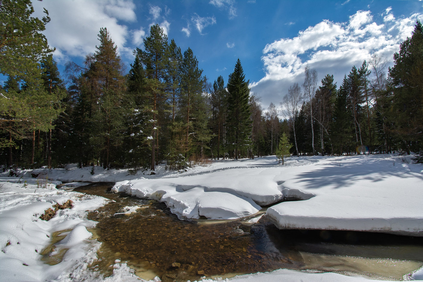 Весеннее настроение