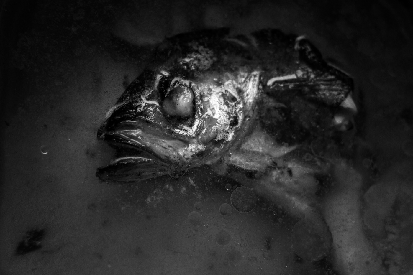 Жизнь вокруг