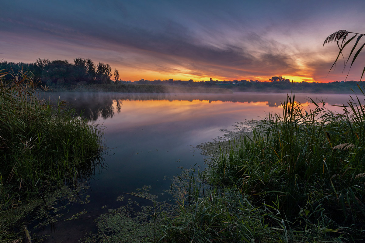 Рассветный час