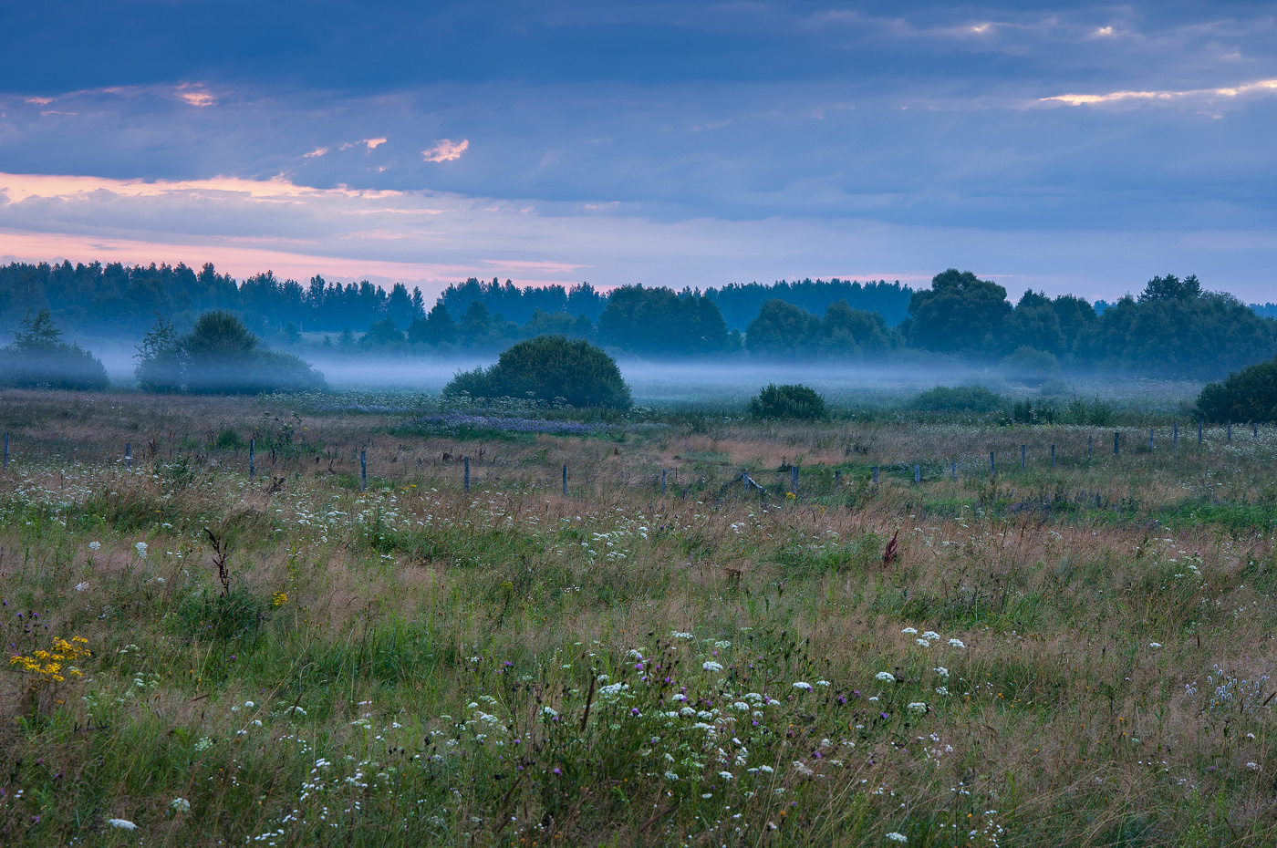 Хмурый рассвет