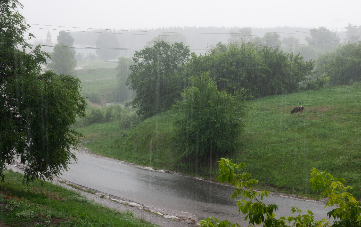 Летний дождь