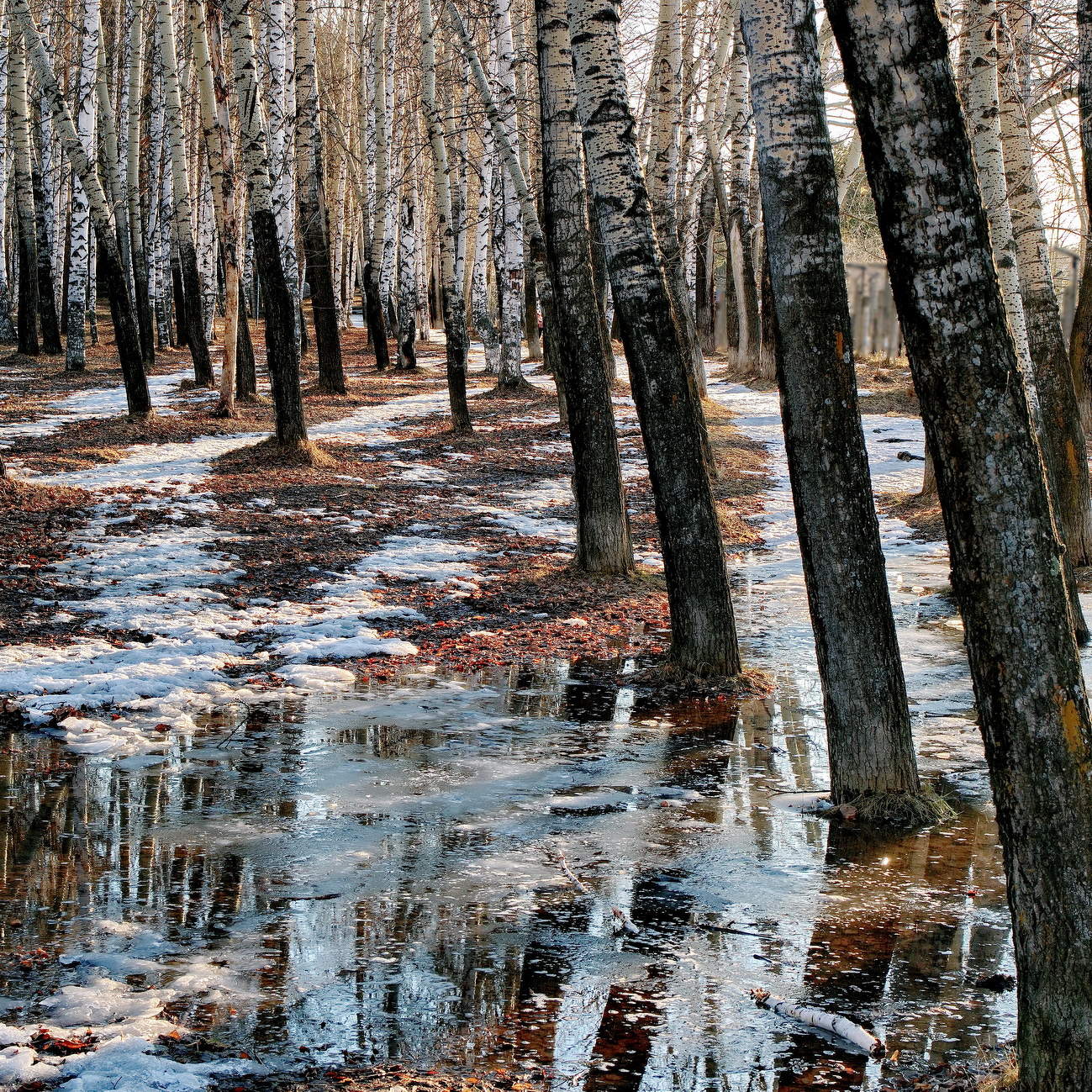 *Апрельским вечером.**