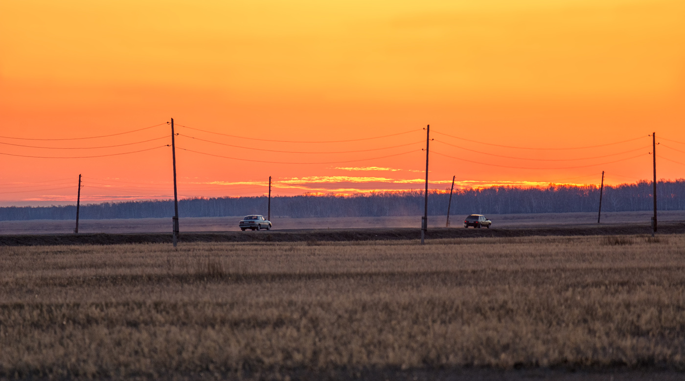 весна в степи..