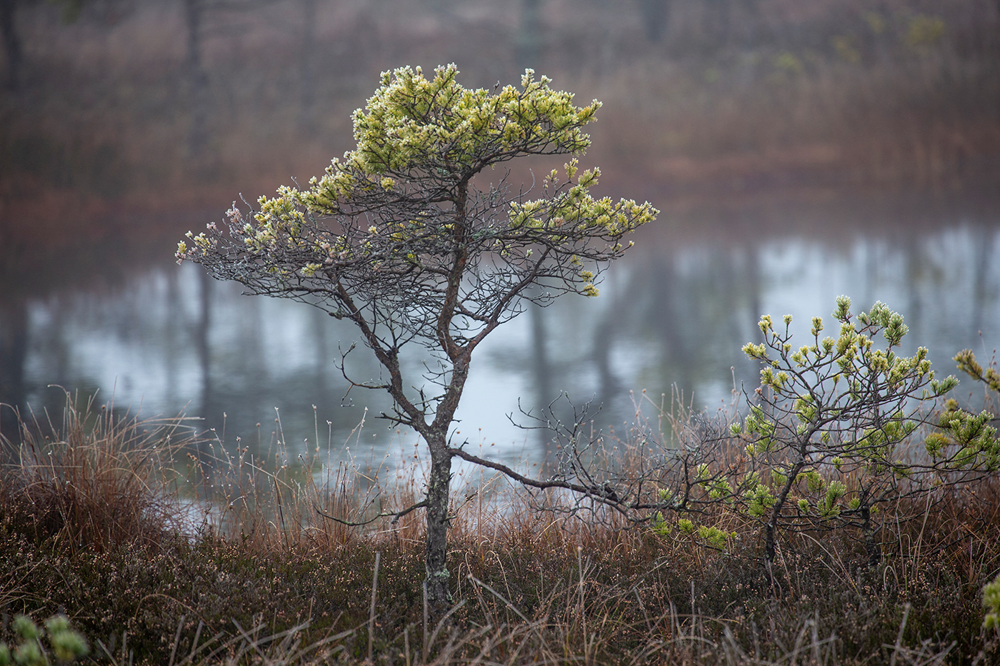 В трудных условиях