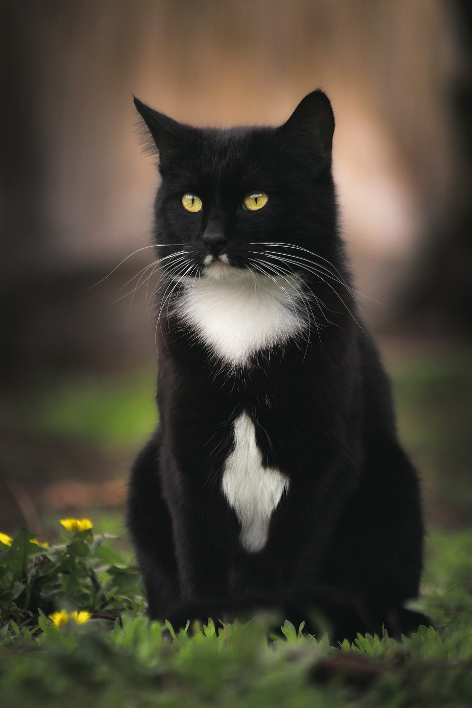 Апрельские посиделки.