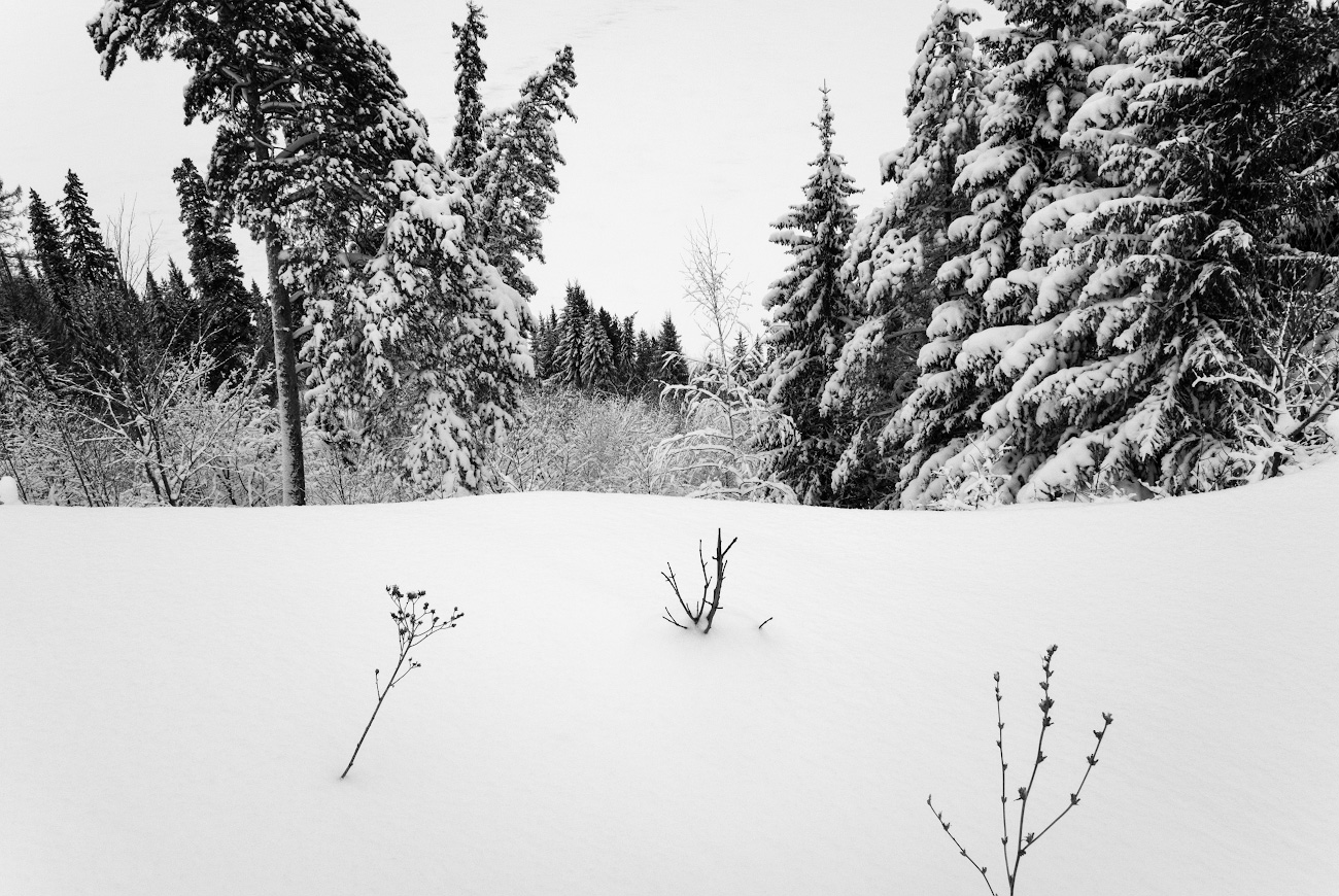 вверх или вниз