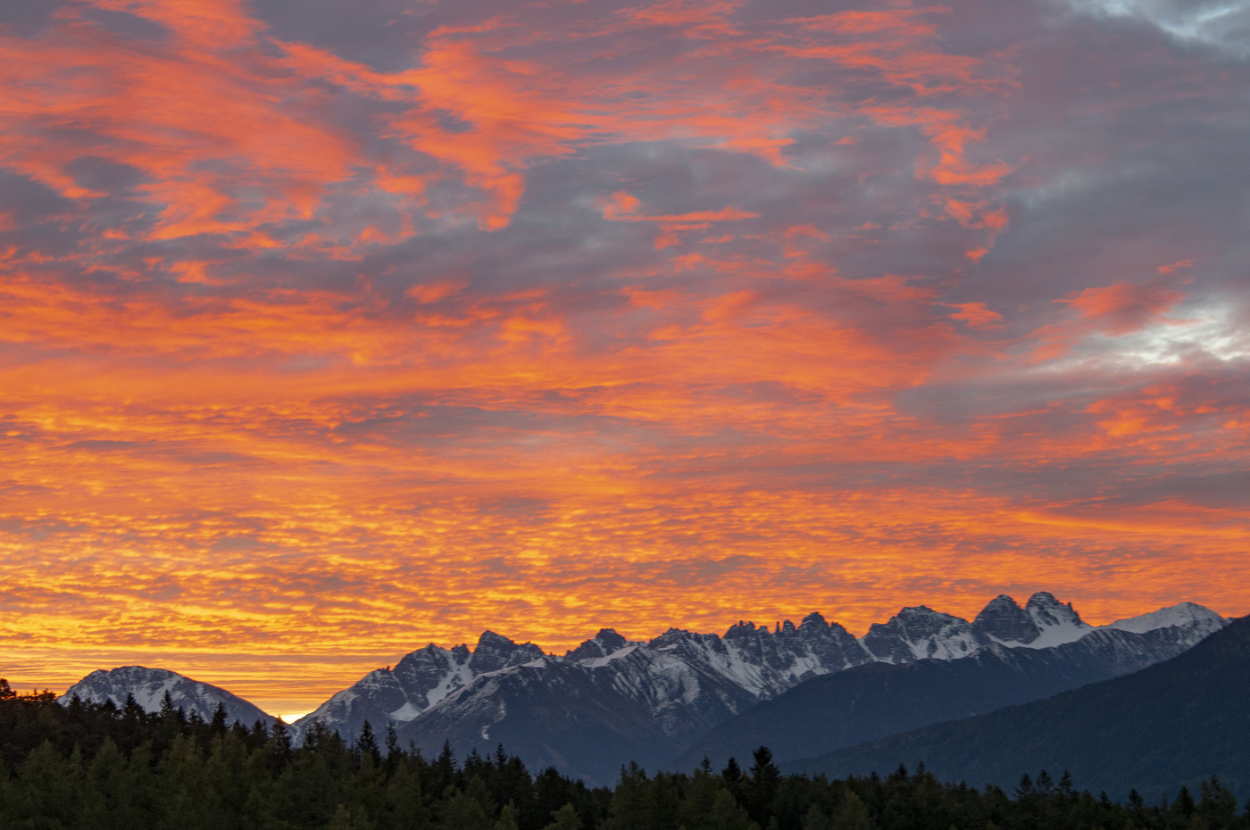 Этюд в багряных тонах