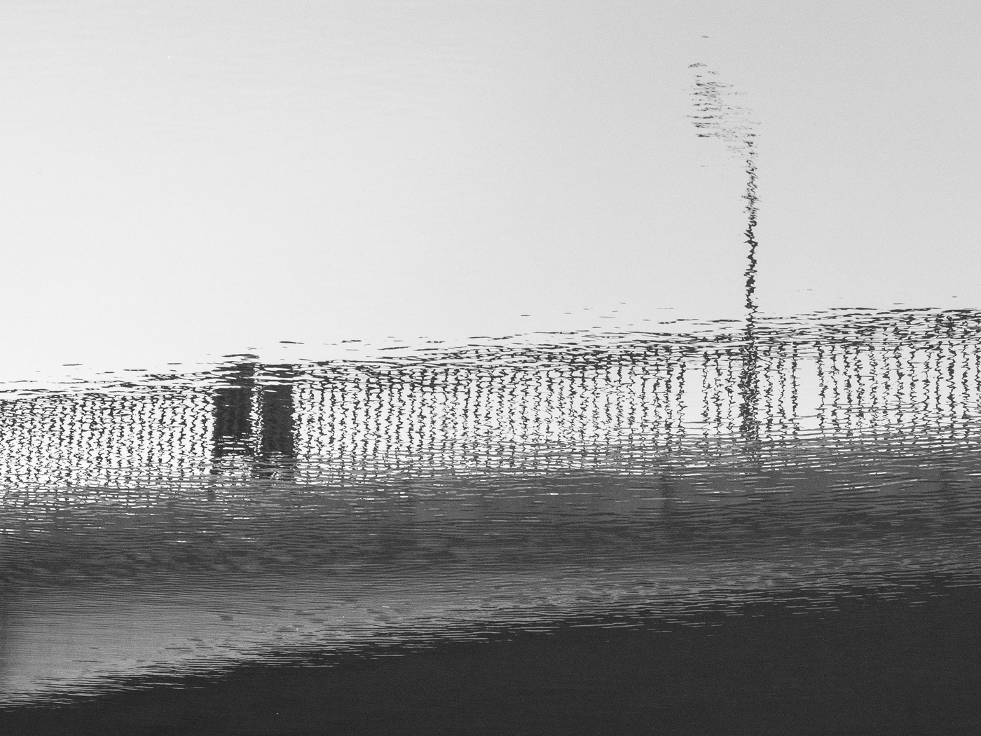 Жизнь вокруг