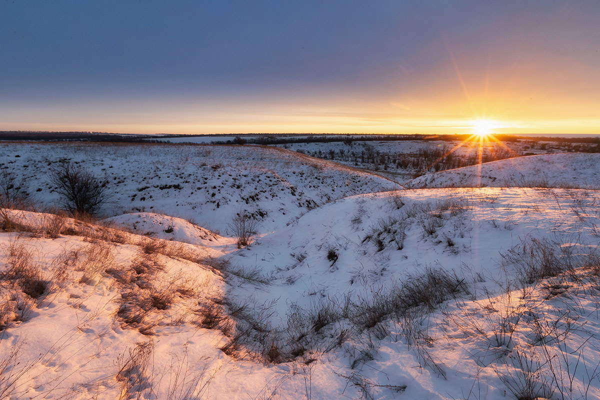 Утро в зимней степи