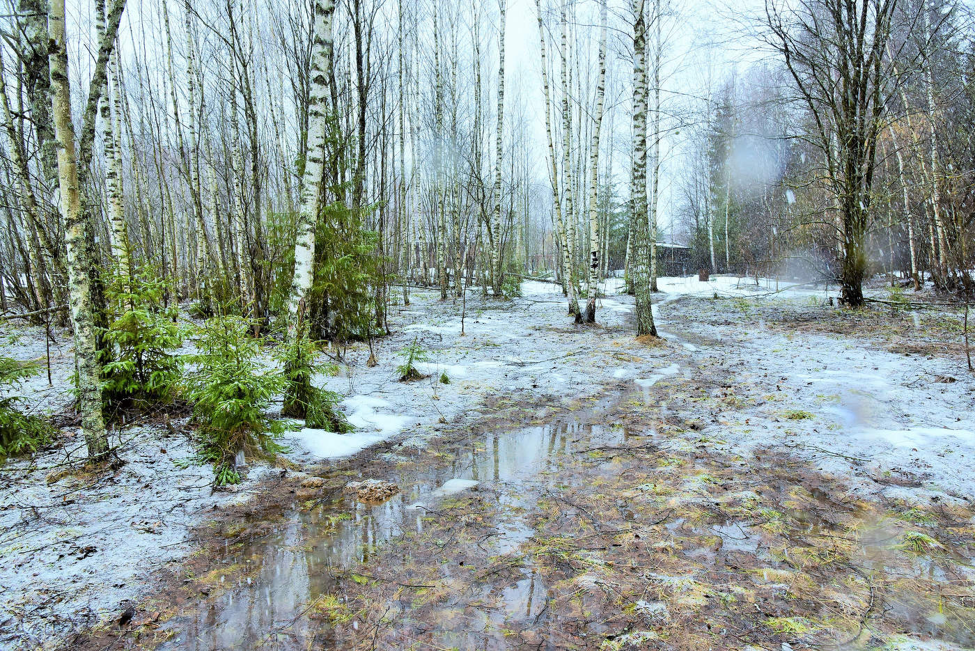 Апрельский этюд ...