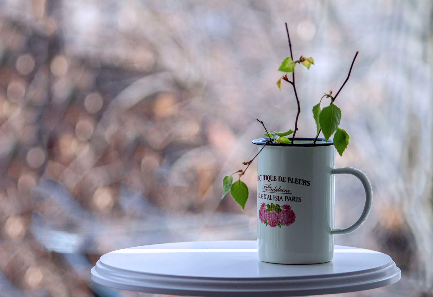 Первые листочки