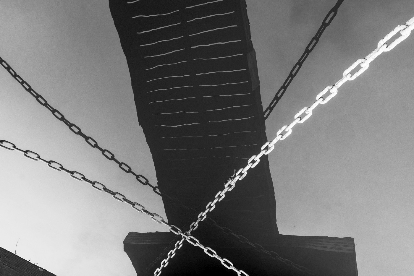 Жизнь вокруг