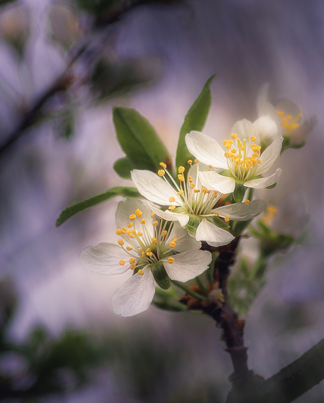 Апрельские зарисовки.